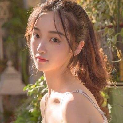 王国纪元华为版下载